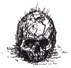 character-capture-page-skull-emblem